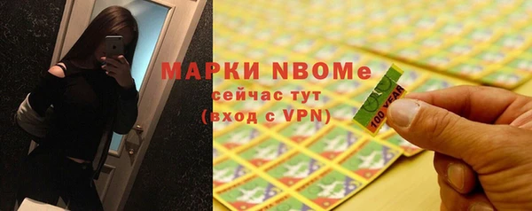 apvp Щигры