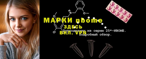 apvp Щигры