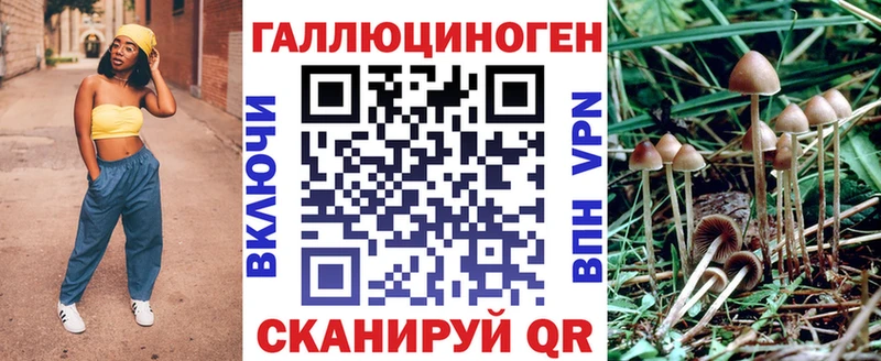 купить  сайты  МЕГА маркетплейс  Галлюциногенные грибы Cubensis  Балашиха 