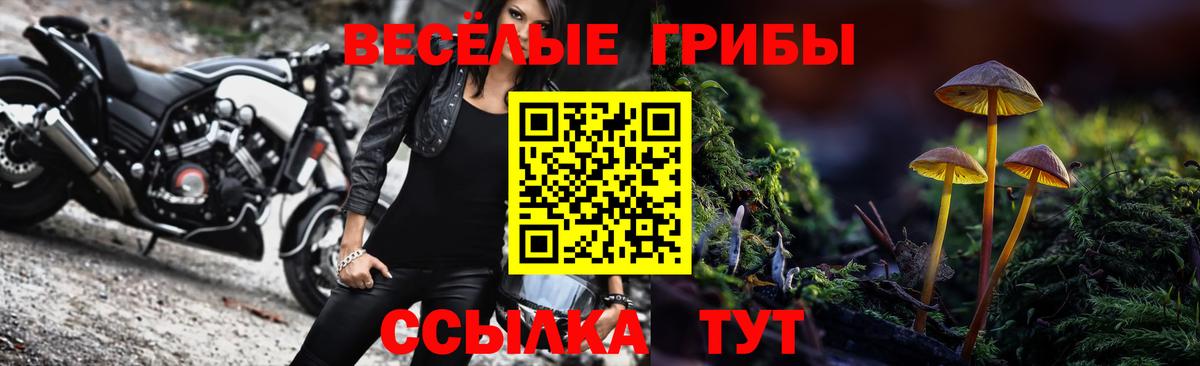 Псилоцибиновые грибы Magic Shrooms Балашиха